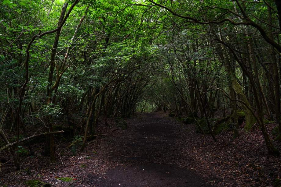 இந்த உலகம் பல விடை தெரியா மர்மங்களால் நிறைந்தது. சில மர்மங்களுக்கு இன்னும் விடை கண்டுபிடிக்கப்படாமலே